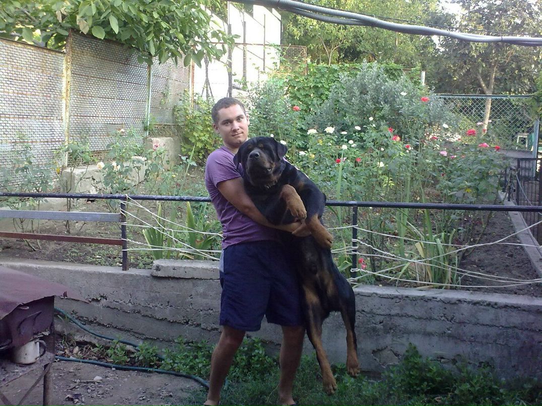 Dm V фотография #31