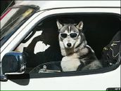 Фотография Кулагина Игоря