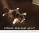 Сашко Федінчик фотография #42 (источник - https://vk.com/id167928114)