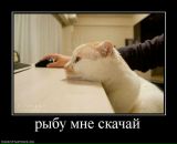 Анатолій Ефіменко фотография #13 (источник - https://vk.com/id7264522)