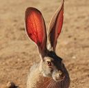 Фотография Морозова Николая