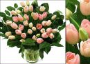 Фотография Медунициной Анны