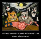Фотография Парфутина Дмитрия