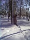 Вікторія Николюк фотография #39 (источник - https://vk.com/id144328205)
