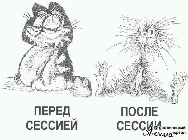 №14, Настасья Корбашова, 37 лет, Москва №14, Настасья Корбашова, 37 лет, Москва