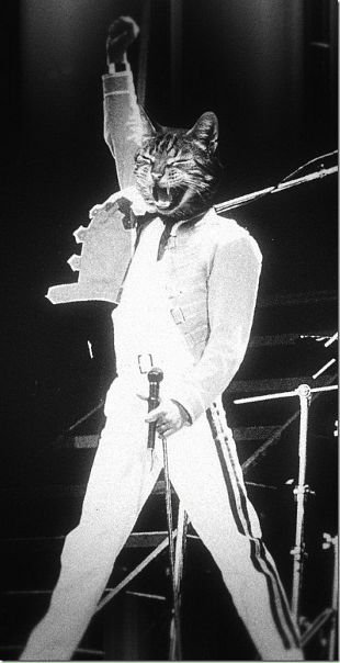 №17, Владимир Ёшкин, Челябинск №17, Владимир Ёшкин, Челябинск