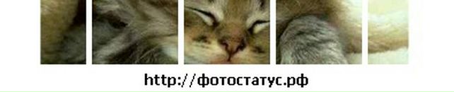 Іванка Кучерява фотография #12 (источник - https://vk.com/id73807324)