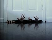 Фотография Garusova Anna