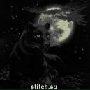 Фотография Федотьевой Анны