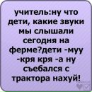 Ілля Шкорубський фотография #34 (источник - https://vk.com/id133220243)