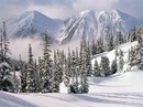 Олексій Данчевський фотография #6 (источник - https://vk.com/id164916055)