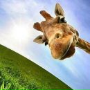 Фотография Максимова Ивана