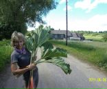 Фотография Пчелы Татьяны