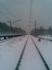  фотография #7
