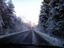 Даниель Котликов фотография #21 (источник - https://vk.com/id26294212)