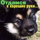 Діма Демідов фотография #49 (источник - https://vk.com/id12616502)