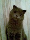 Олександр Бедзір фотография #49 (источник - https://vk.com/id16203303)