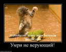 Алексей Антоненко фотография #50 (источник - https://vk.com/id11280778)