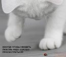 Лілія Левицька фотография #15 (источник - https://vk.com/id9868856)