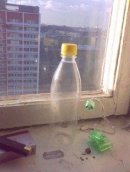 Аня Morf фотография #6 (источник - https://vk.com/id2962602)