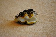 Фотография Андреевой Надежды