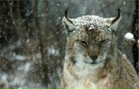 Фотография Гимаевой Марии