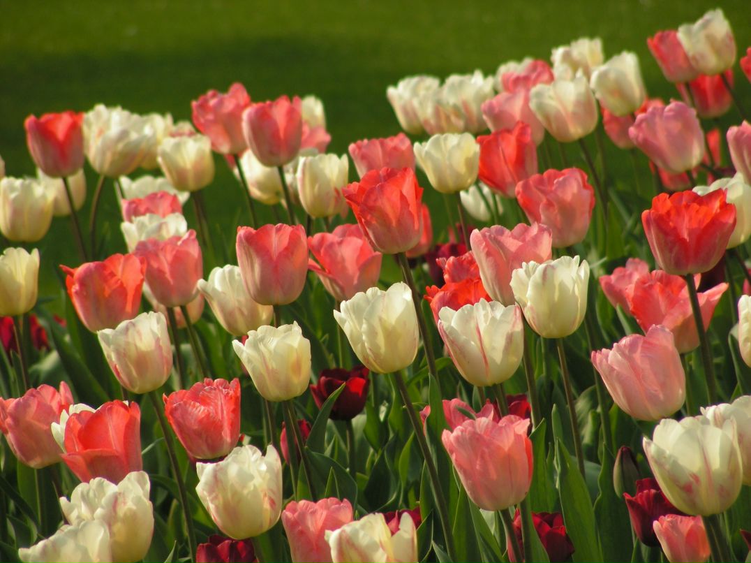 Антон Киселёв фотография #32