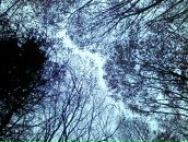 Таня Іванько фотография #15 (источник - https://vk.com/id44052543)