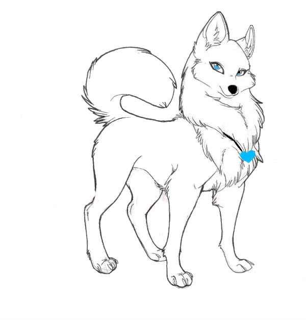 Cherry Wolf фотография #2