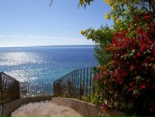 Фотография Великолепной Anett