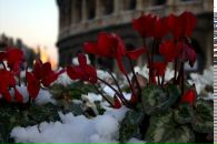 Андрій Савків фотография #28 (источник - https://vk.com/id19169401)