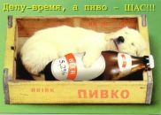 Міша Тихонов фотография #37 (источник - https://vk.com/id123890361)