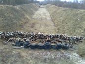 Рома-Курдюк Нікіфоренко фотография #31 (источник - https://vk.com/id164966188)