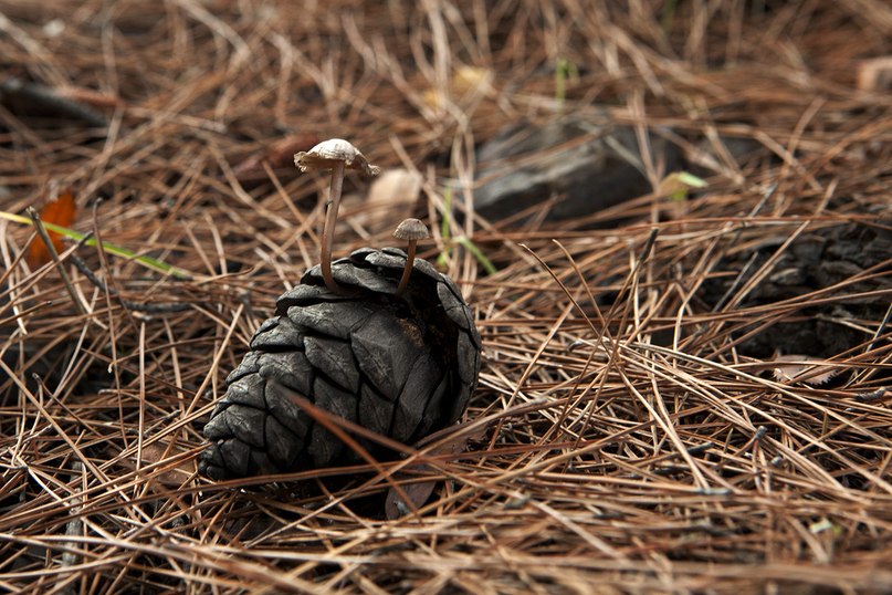 Сергей Севериненко фотография #13