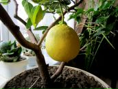 Фотография Губарева Антона