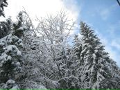 Володимир Підлісний фотография #50 (источник - https://vk.com/id9143845)