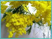 Фотография Григорьевой Елены