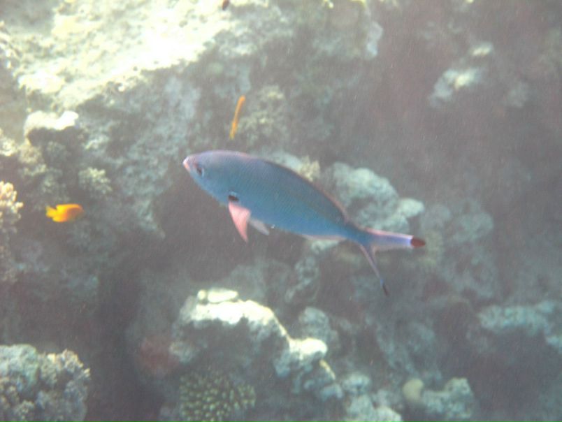 Борис Кишкилев фото №17