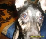 Фотография Сергеевны Виктории