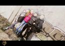 Дімон Тишковець фотография #19 (источник - https://vk.com/id87313986)