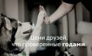 Альона Баліцька фотография #6 (источник - https://vk.com/id150185942)