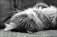 Фотография Медведевой Татьяны