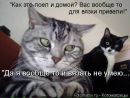 Віктор Мендик фотография #42 (источник - https://vk.com/id26986211)