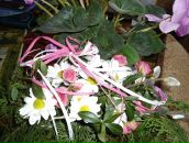 Ірина Пальонка фотография #44 (источник - https://vk.com/id31281271)