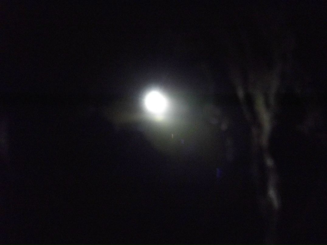 Александр Мищенко фотография #5