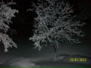 Іван Лембак фотография #33 (источник - https://vk.com/id40626263)