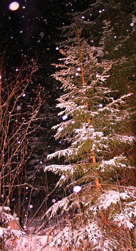 Дарья Базанова фотография #19