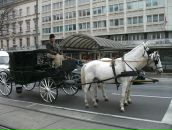 Филипп Келейнов фотография #10 (источник - https://vk.com/id68366)