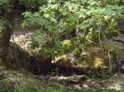 Юлія Потієвська фотография #27 (источник - https://vk.com/id2889548)