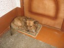 Наті Клубнічка фотография #28 (источник - https://vk.com/id21294913)